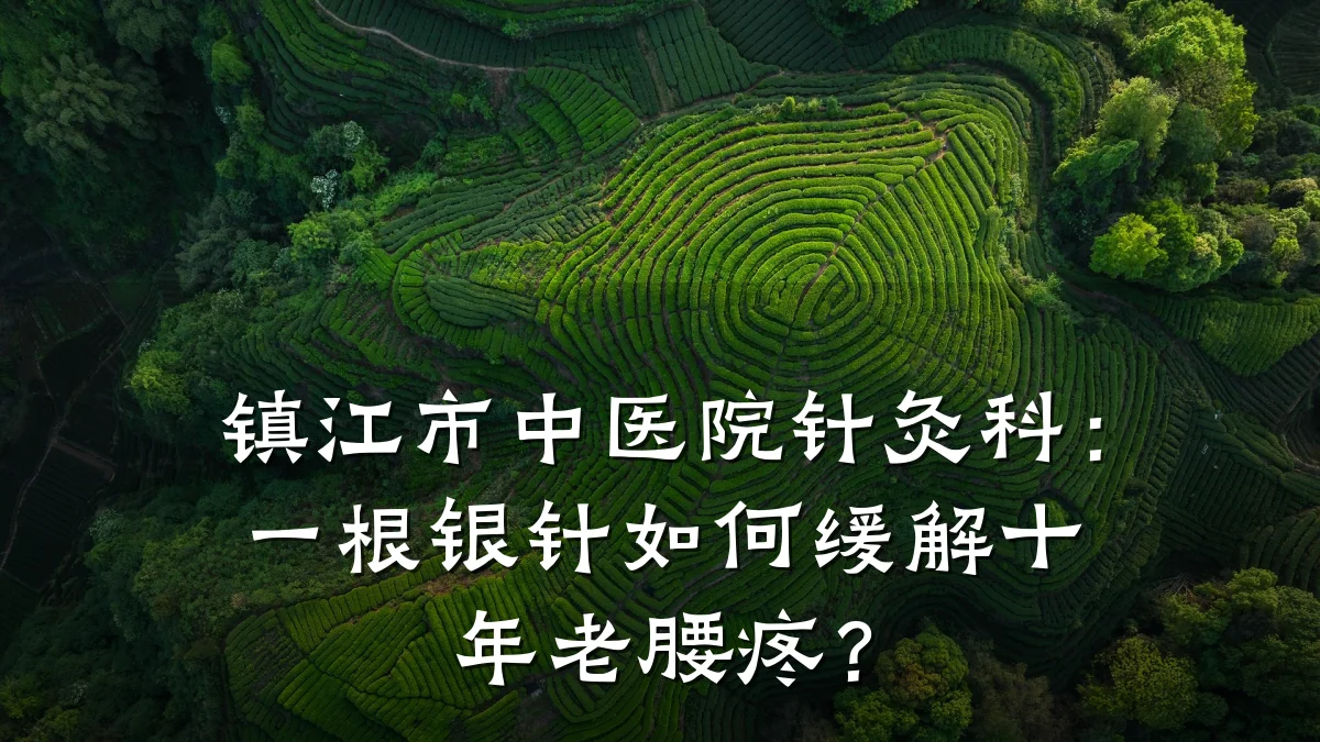 镇江市中医院针灸科:一根银针如何缓解十年老腰疼?