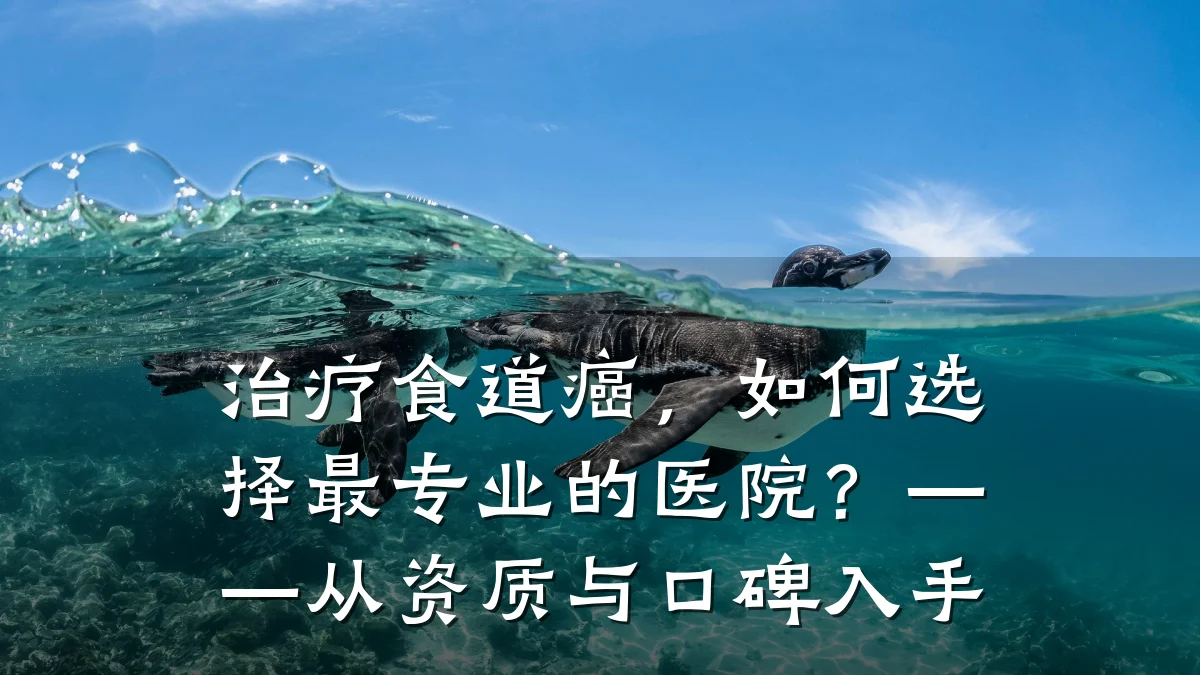 治疗食道癌，如何选择最专业的医院？——从资质与口碑入手