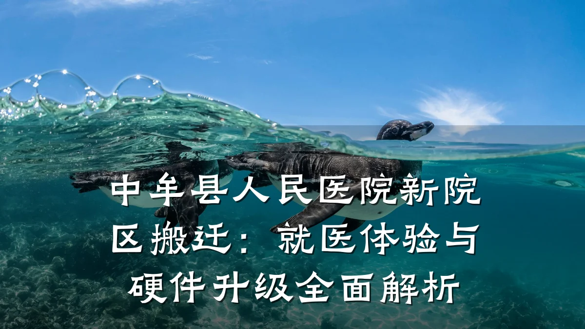 中牟县人民医院新院区搬迁:就医体验与硬件升级全面解析