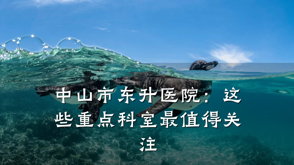 中山市东升医院:这些重点科室最值得关注