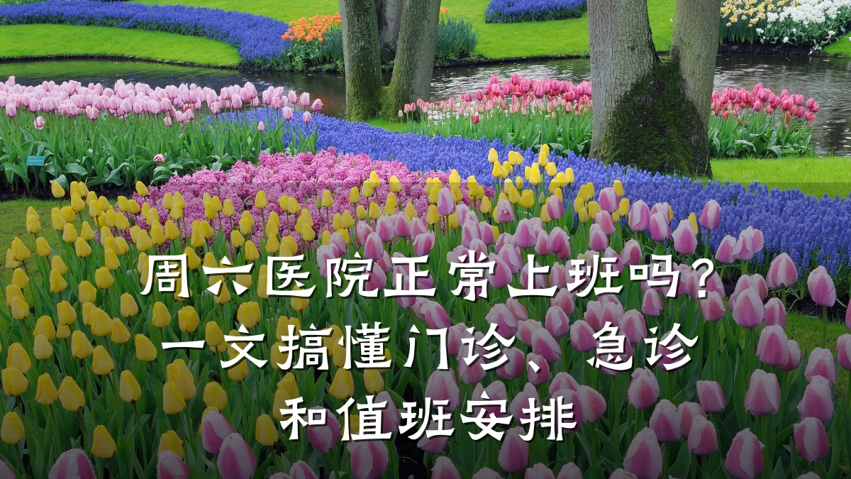 周六医院正常上班吗？一文搞懂门诊、急诊和值班安排