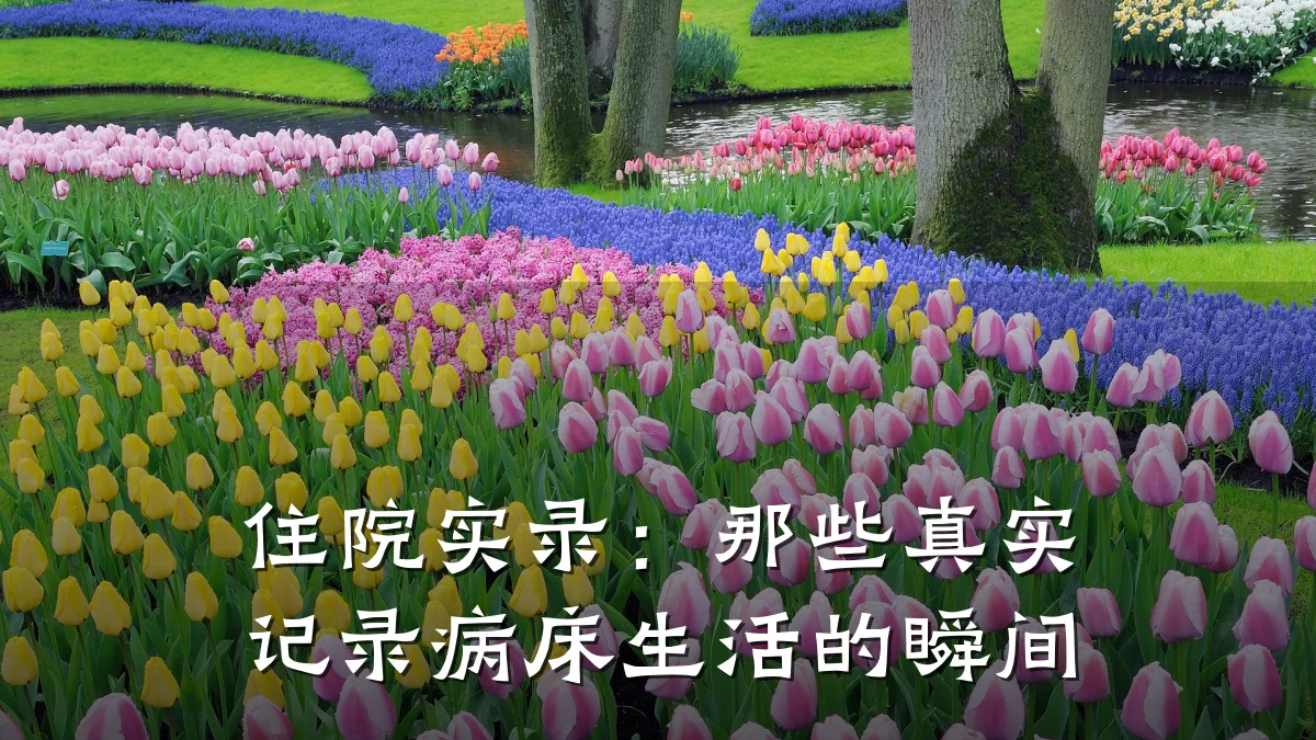住院实录:那些真实记录病床生活的瞬间