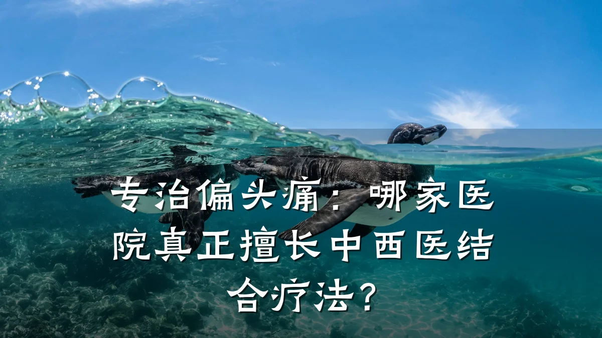 专治偏头痛:哪家医院真正擅长中西医结合疗法?