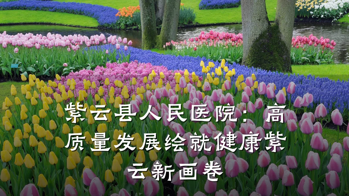 紫云县人民医院:高质量发展绘就健康紫云新画卷