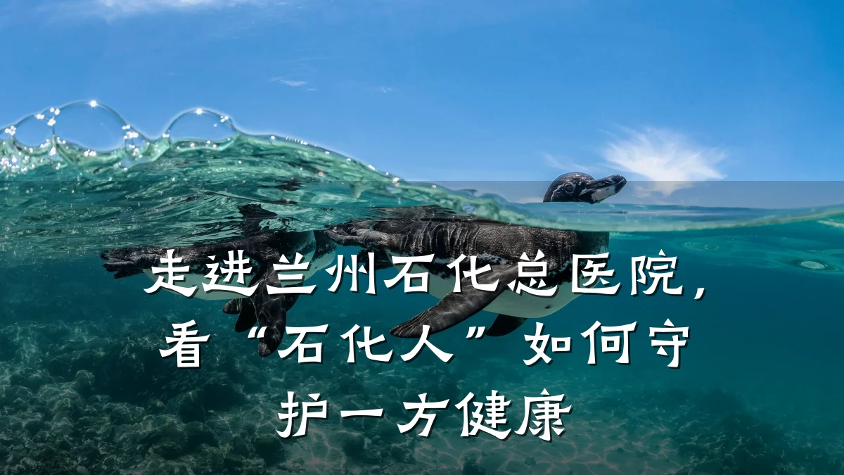 走进兰州石化总医院，看“石化人”如何守护一方健康