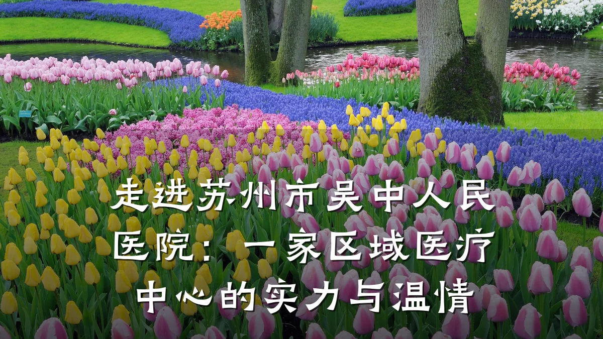 走进苏州市吴中人民医院：一家区域医疗中心的实力与温情