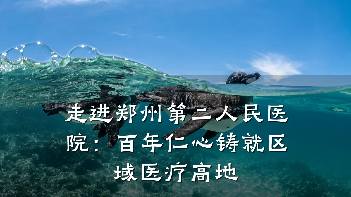 走进郑州第二人民医院:百年仁心铸就区域医疗高地