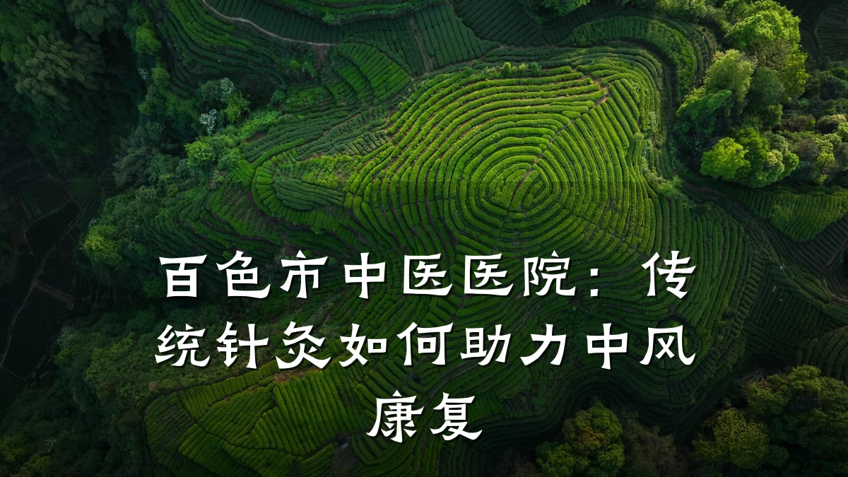 百色市中医医院：传统针灸如何助力中风康复