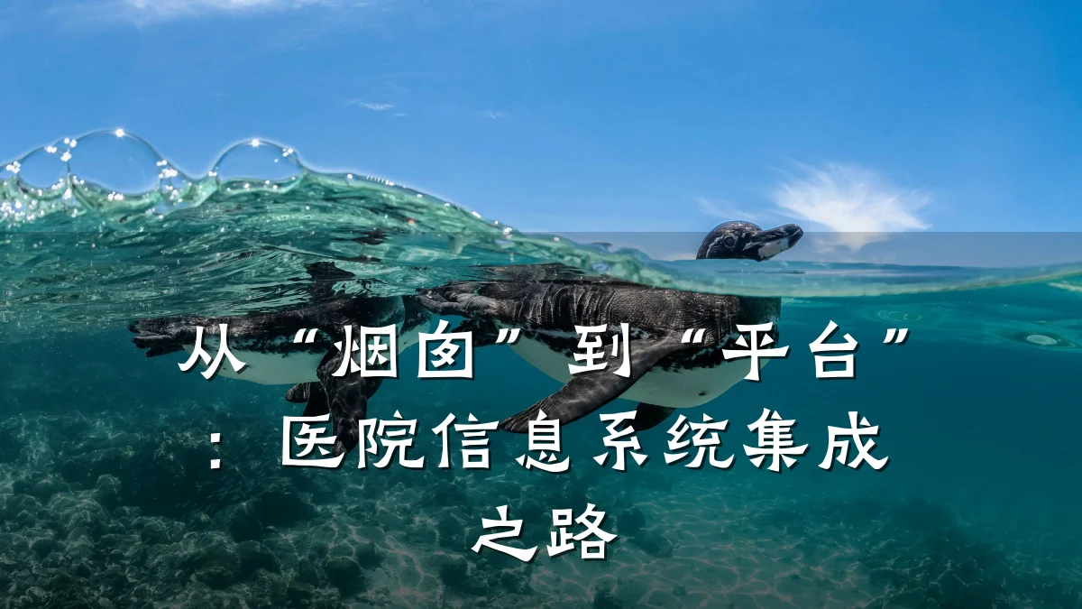 从“烟囱”到“平台”:医院信息系统集成之路