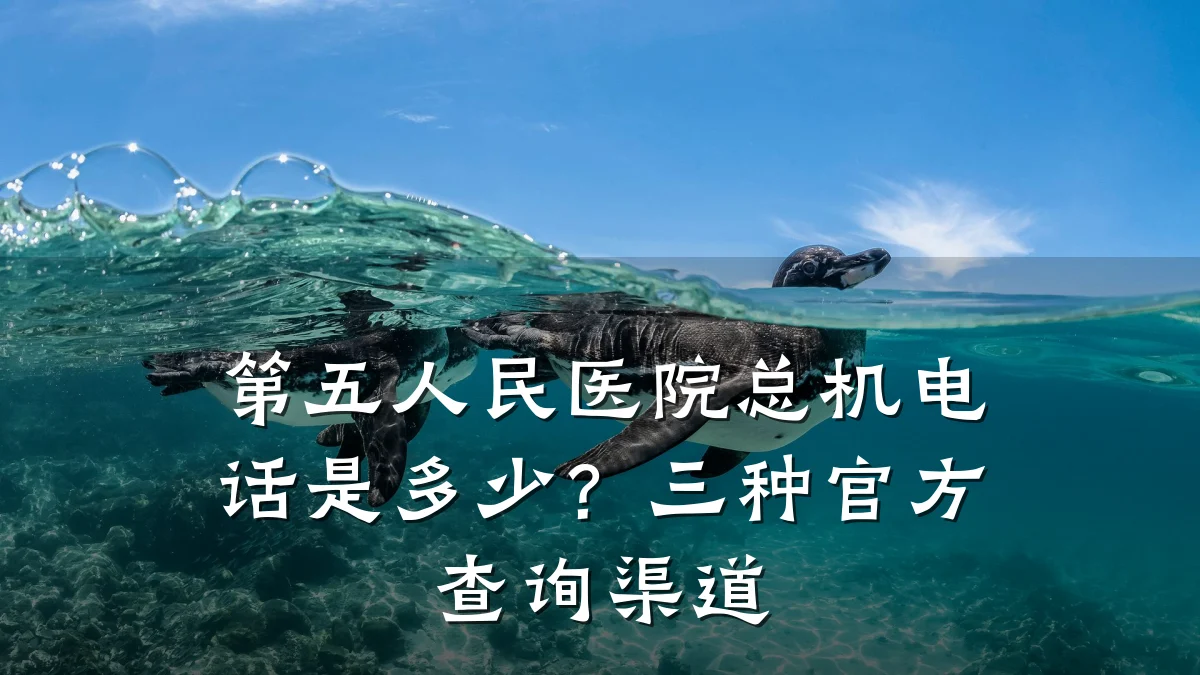 第五人民医院总机电话是多少？三种官方查询渠道