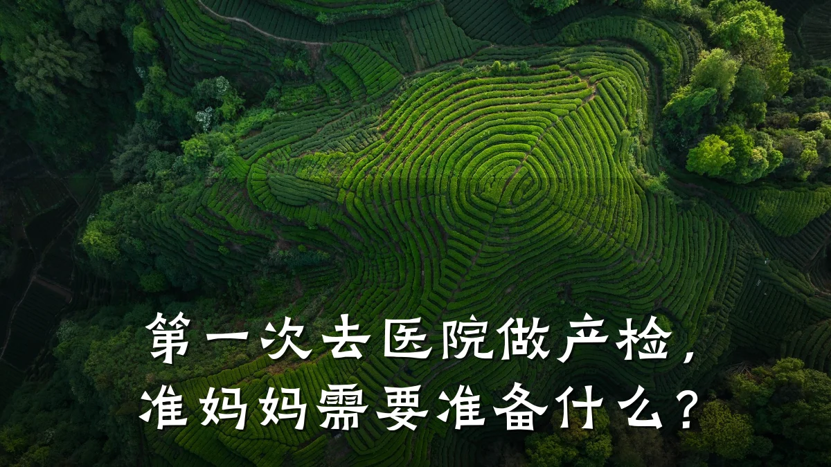 第一次去医院做产检,准妈妈需要准备什么?