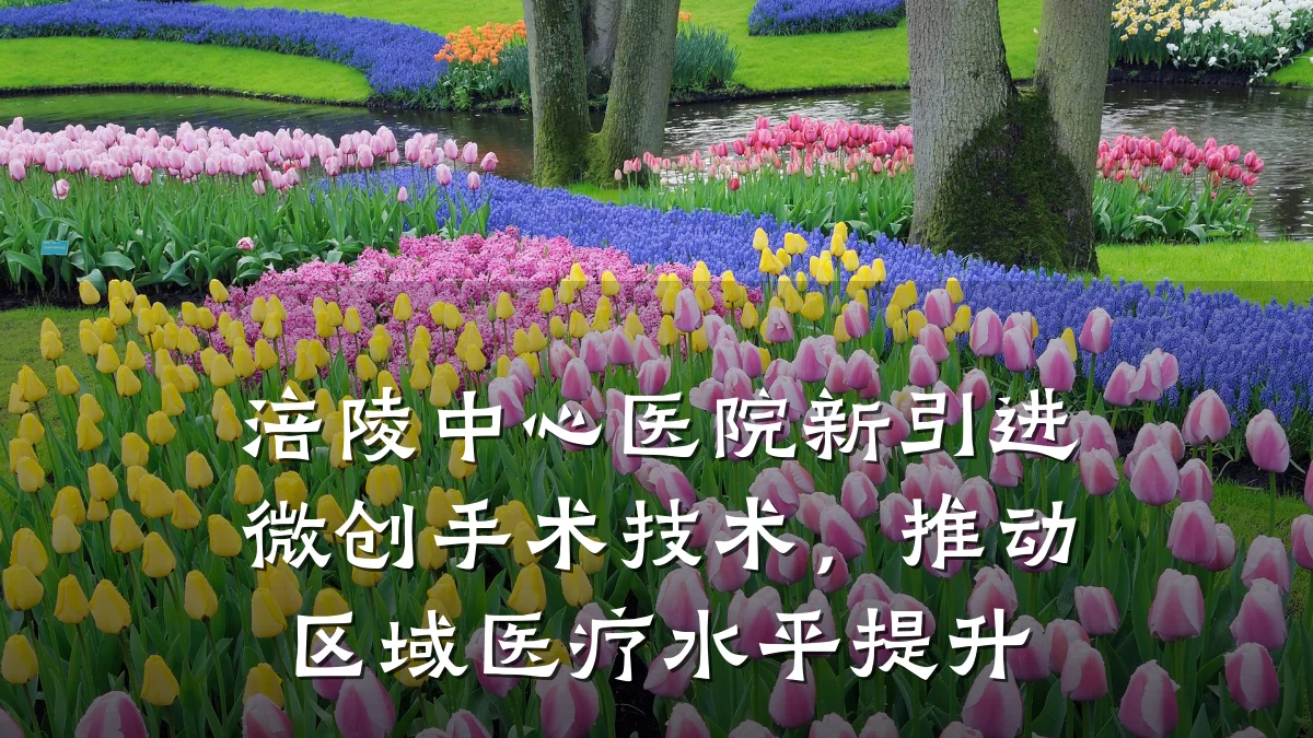 涪陵中心医院新引进微创手术技术,推动区域医疗水平提升