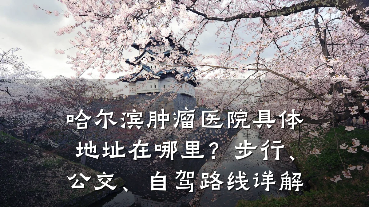哈尔滨肿瘤医院具体地址在哪里？步行、公交、自驾路线详解