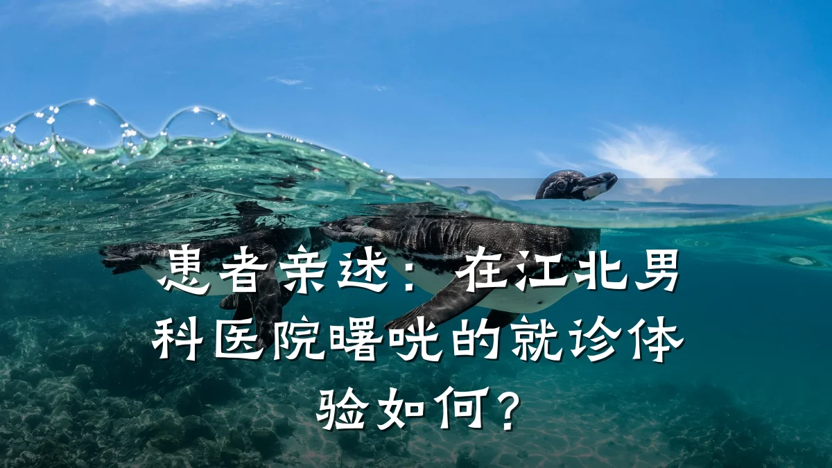 患者亲述:在江北男科医院曙咣的就诊体验如何?