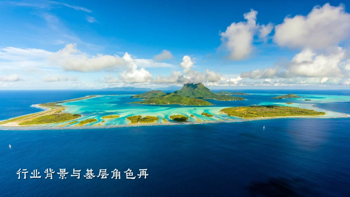 行业背景与基层角色再