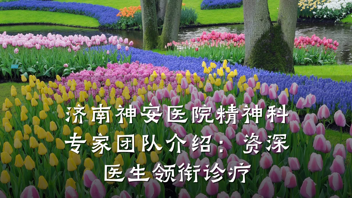 济南神安医院精神科专家团队介绍:资深医生领衔诊疗