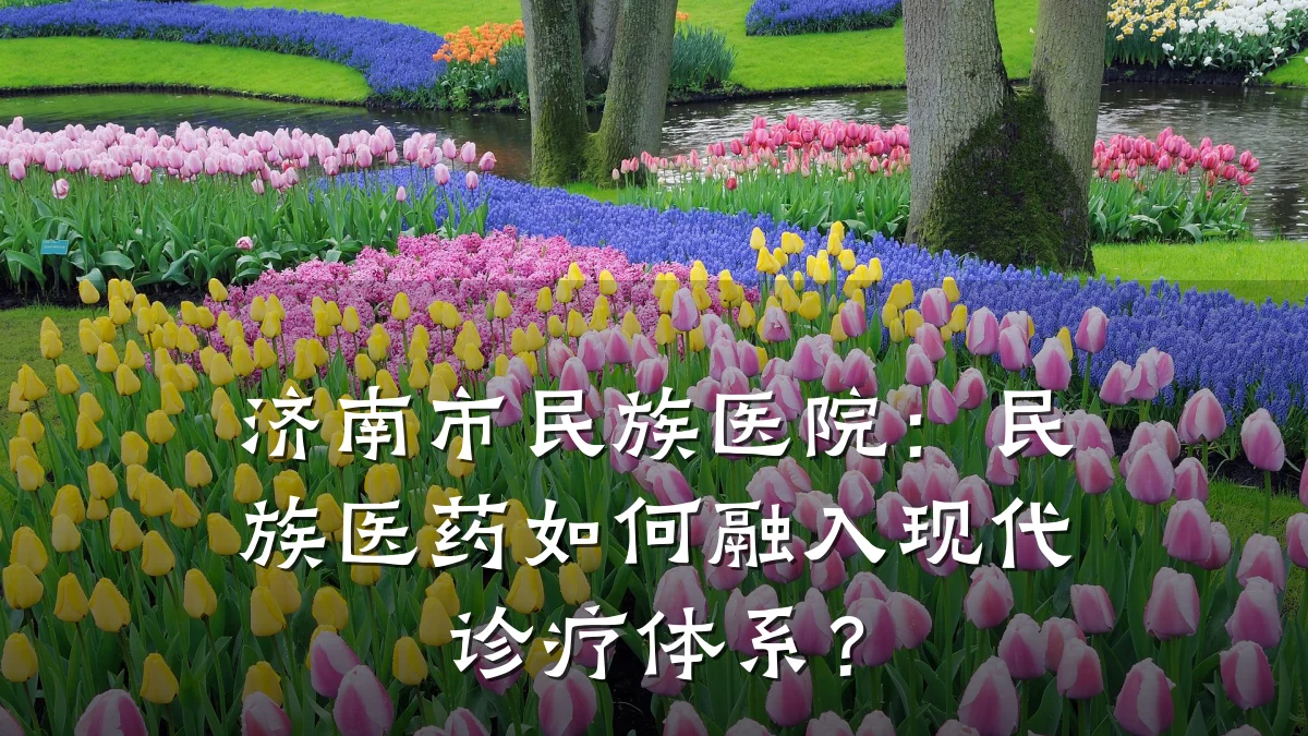 济南市民族医院：民族医药如何融入现代诊疗体系？