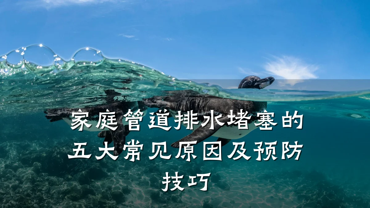 家庭管道排水堵塞的五大常见原因及预防技巧