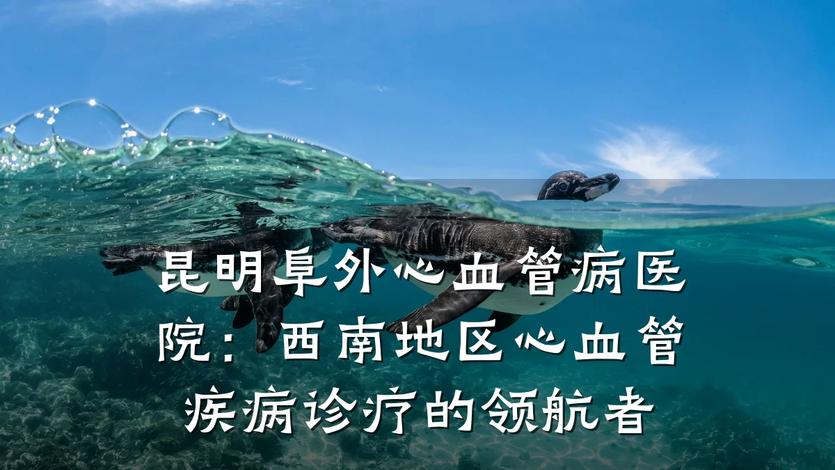 昆明阜外心血管病医院：西南地区心血管疾病诊疗的领航者