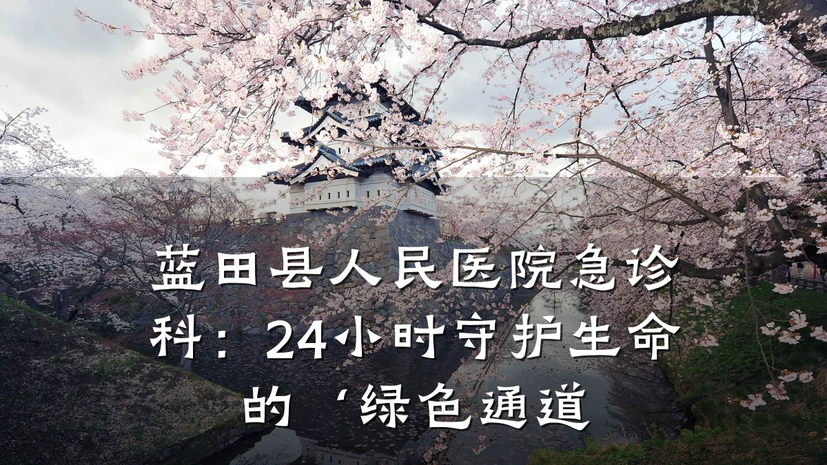 蓝田县人民医院急诊科:24小时守护生命的‘绿色通道