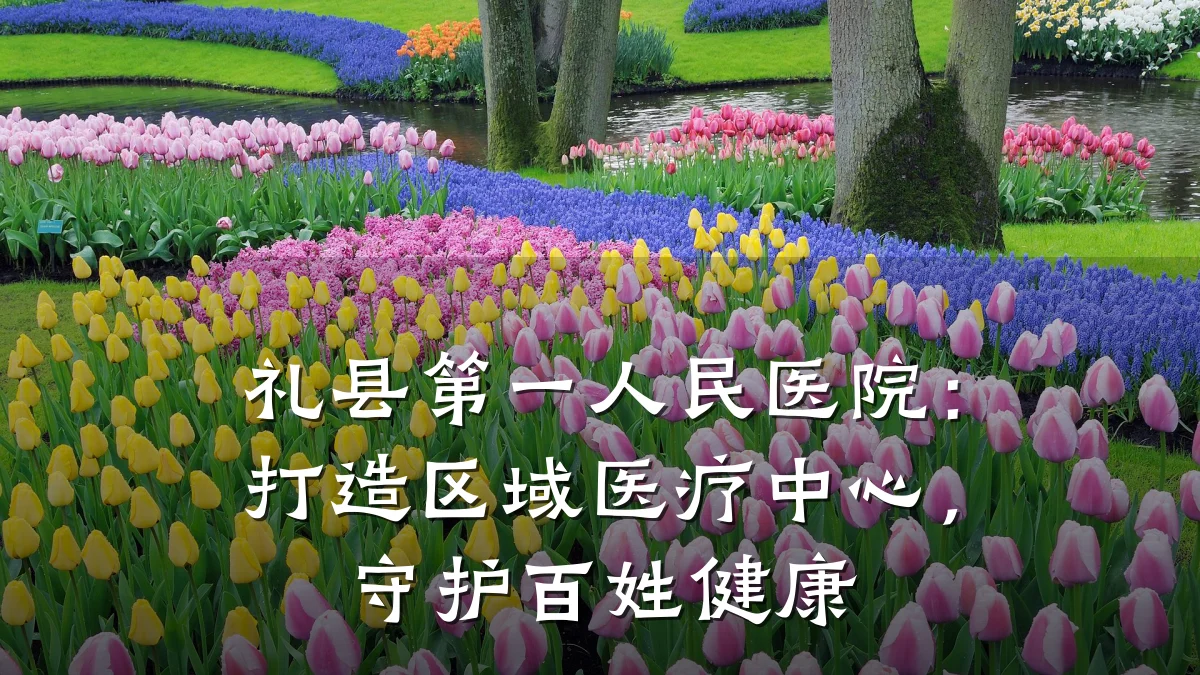 礼县第一人民医院:打造区域医疗中心,守护百姓健康