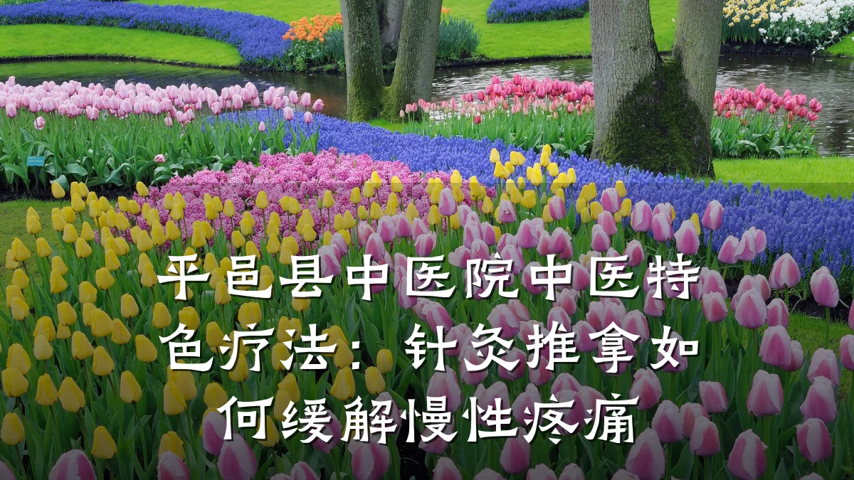 平邑县中医院中医特色疗法:针灸推拿如何缓解慢性疼痛