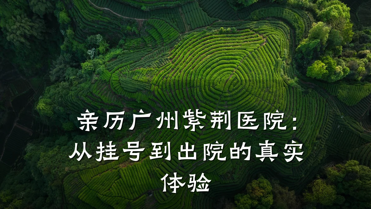 亲历广州紫荆医院:从挂号到出院的真实体验
