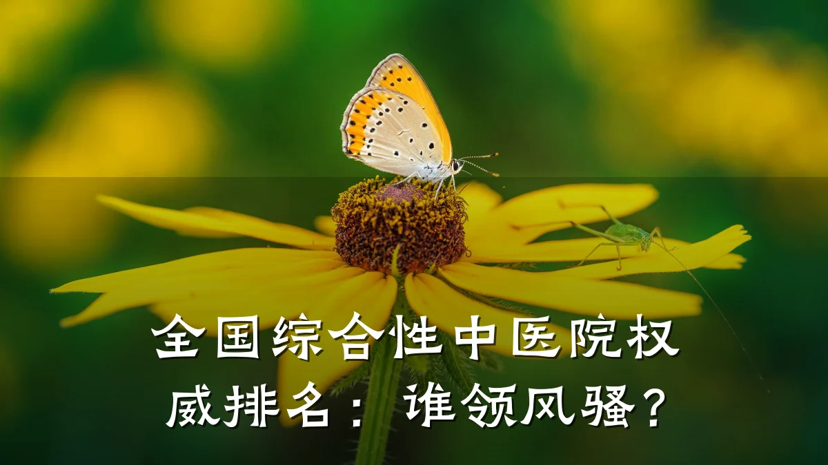 全国综合性中医院权威排名:谁领风骚?