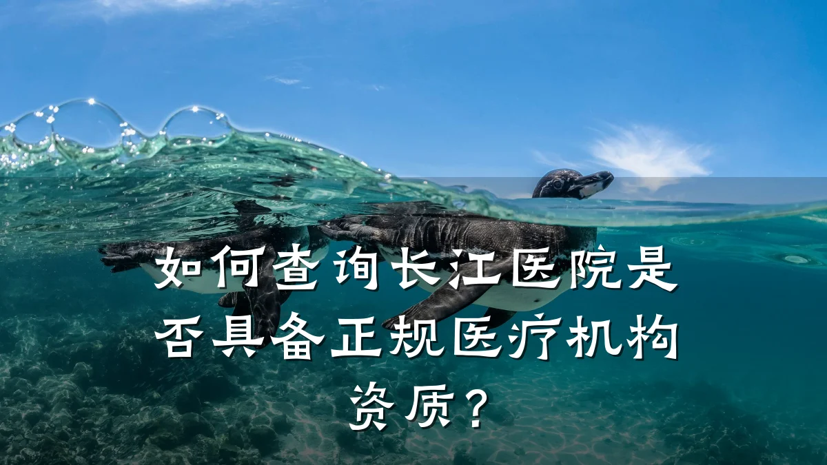 如何查询长江医院是否具备正规医疗机构资质？