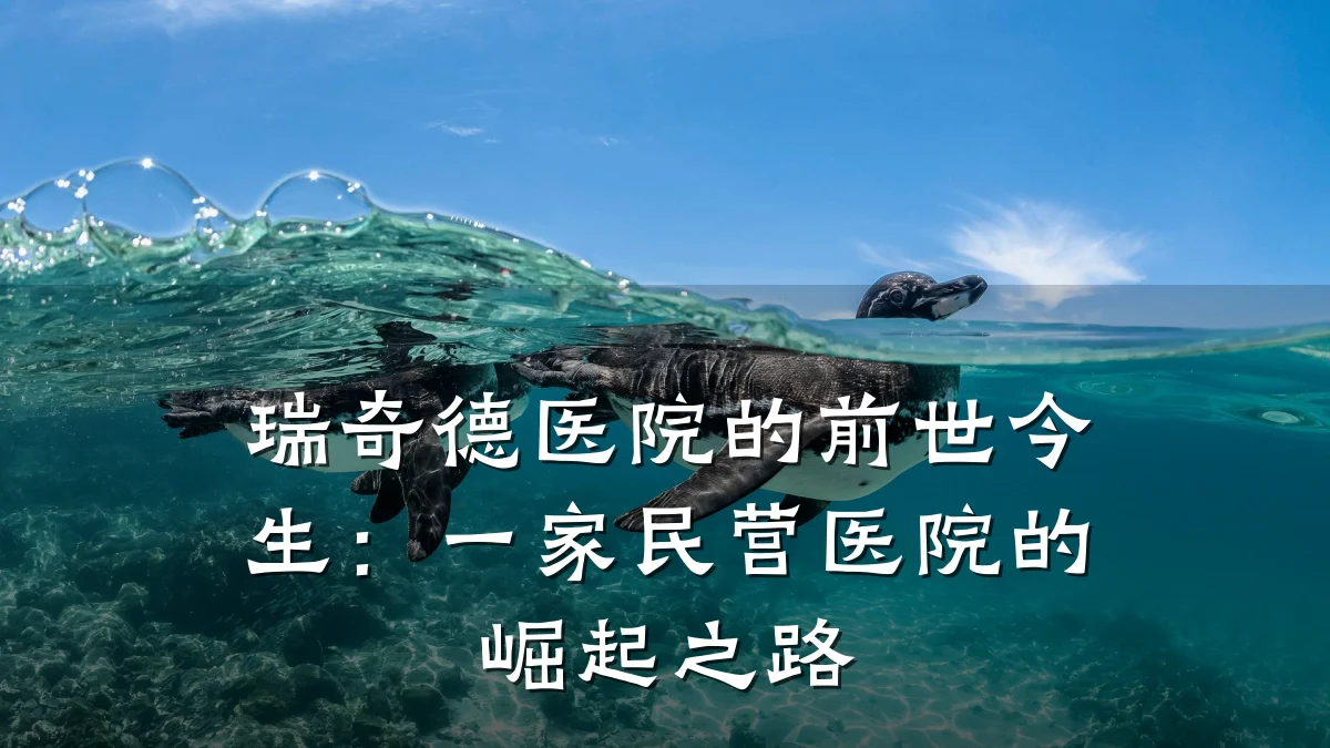 瑞奇德医院的前世今生:一家民营医院的崛起之路