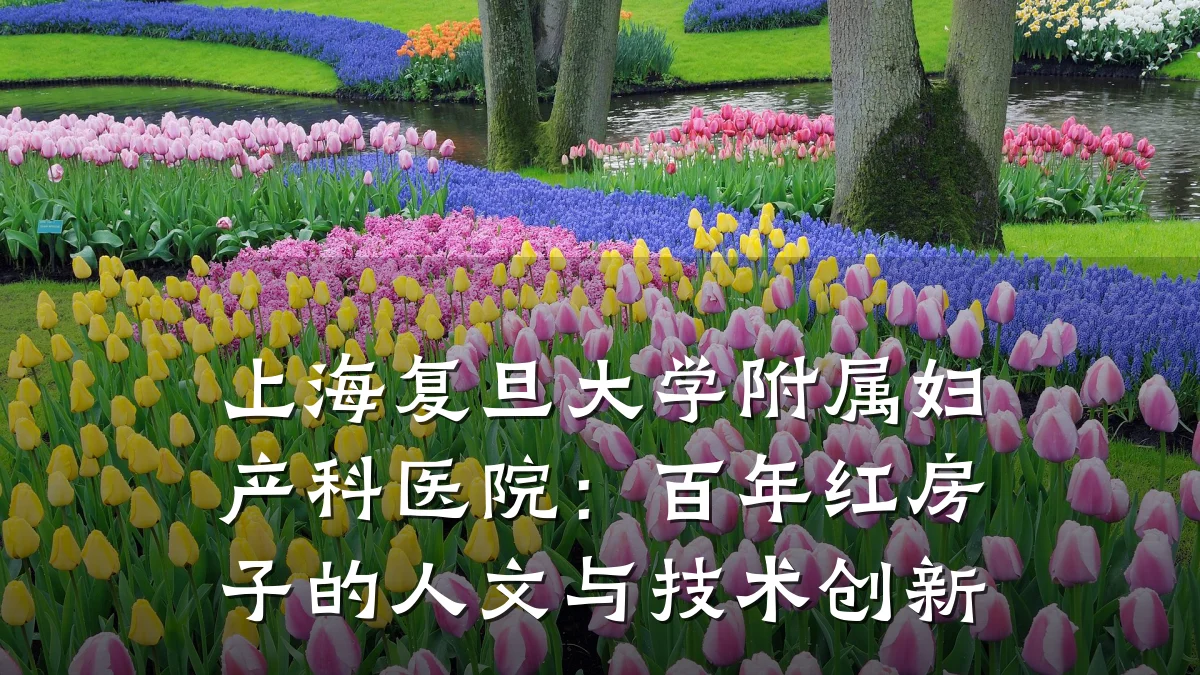 上海复旦大学附属妇产科医院:百年红房子的人文与技术创新