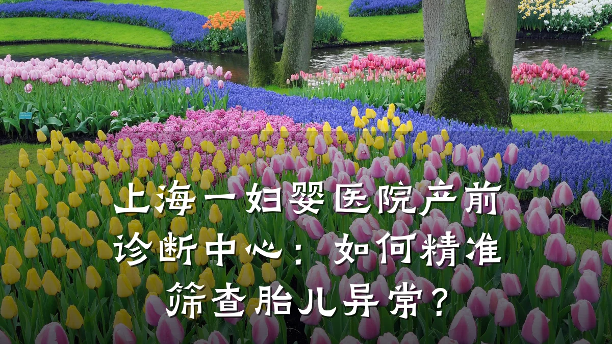 上海一妇婴医院产前诊断中心：如何精准筛查胎儿异常？