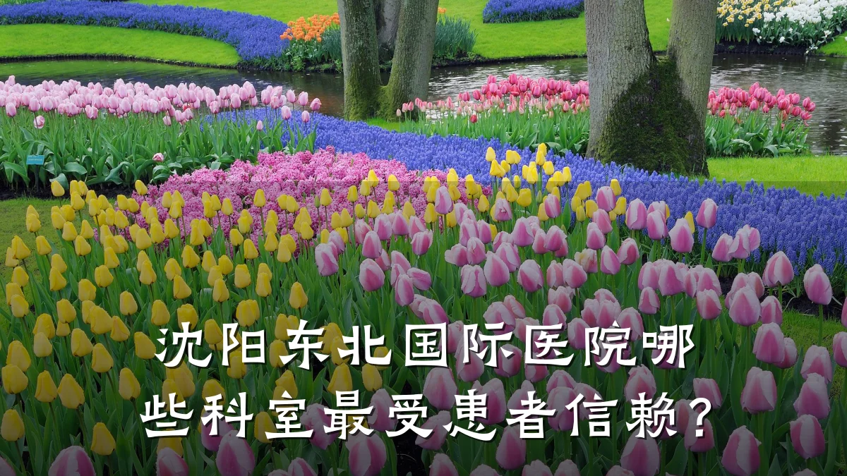 沈阳东北国际医院哪些科室最受患者信赖?