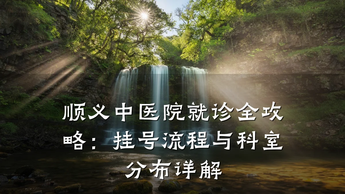 顺义中医院就诊全攻略:挂号流程与科室分布详解