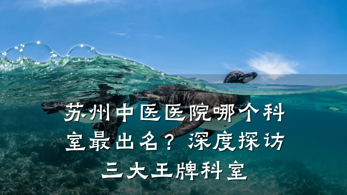 苏州中医医院哪个科室最出名?深度探访三大王牌科室