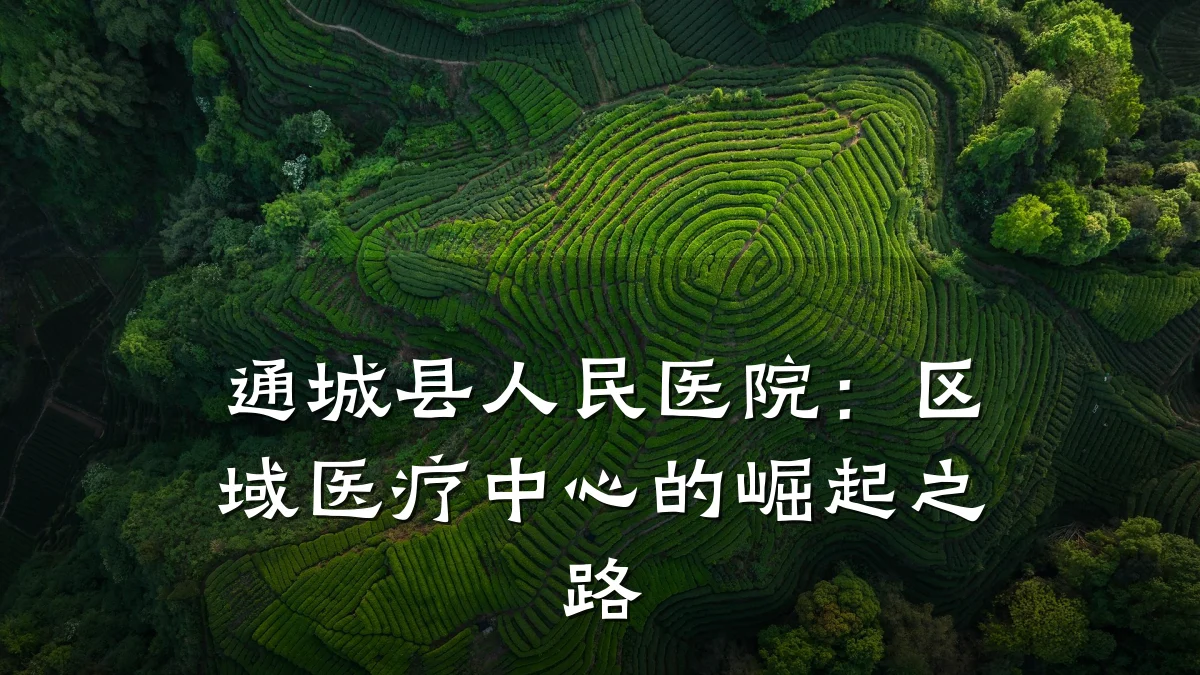 通城县人民医院:区域医疗中心的崛起之路