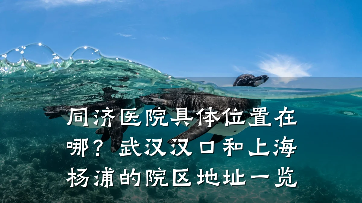 同济医院具体位置在哪?武汉汉口和上海杨浦的院区地址一览