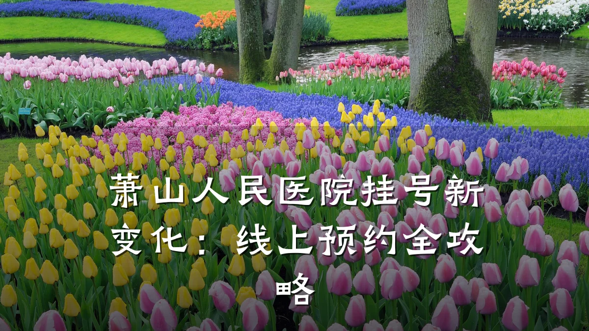萧山人民医院挂号新变化:线上预约全攻略