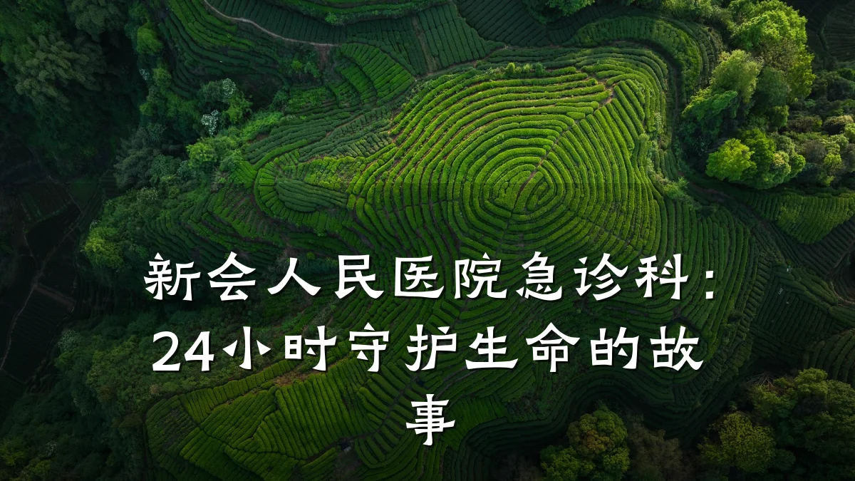 新会人民医院急诊科:24小时守护生命的故事