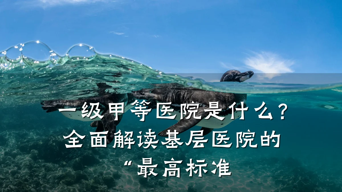 一级甲等医院是什么?全面解读基层医院的“最高标准