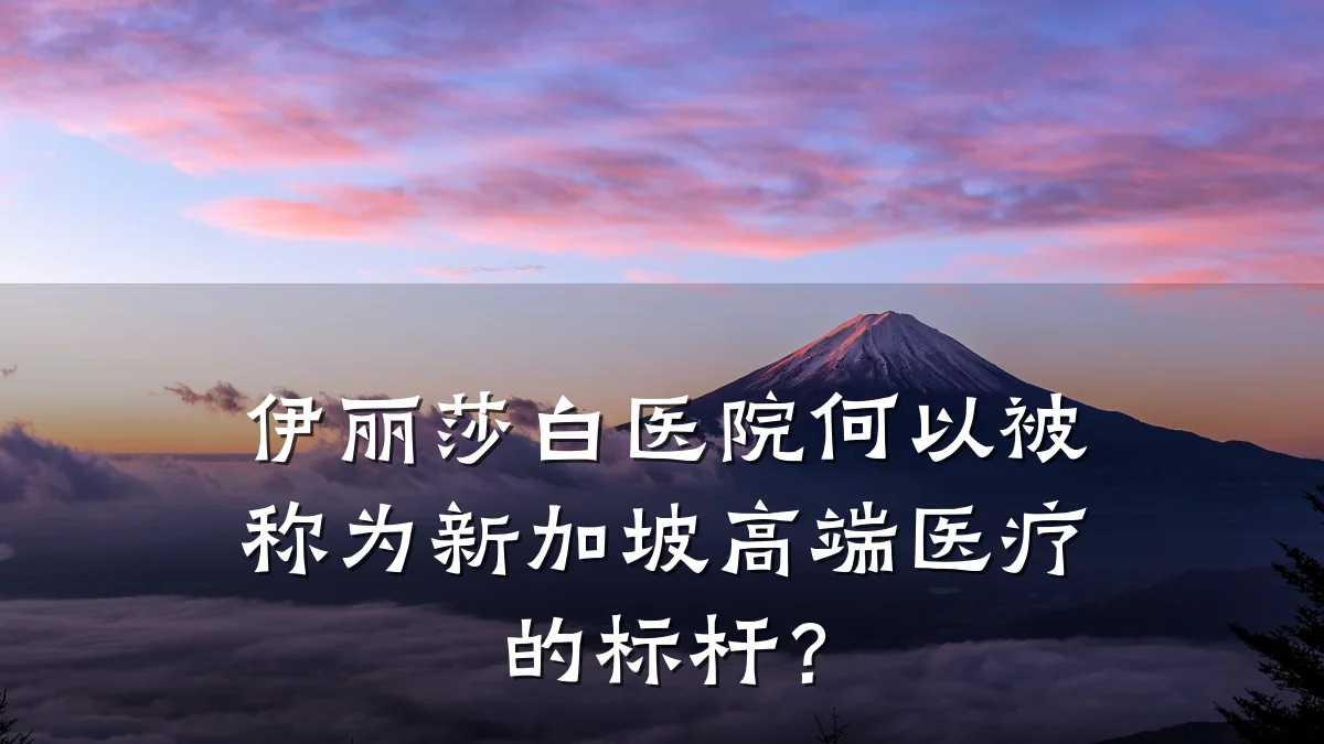 伊丽莎白医院何以被称为新加坡高端医疗的标杆？