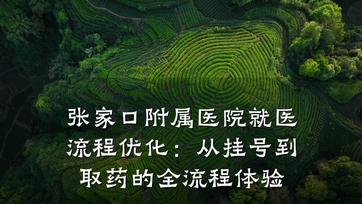 张家口附属医院就医流程优化:从挂号到取药的全流程体验