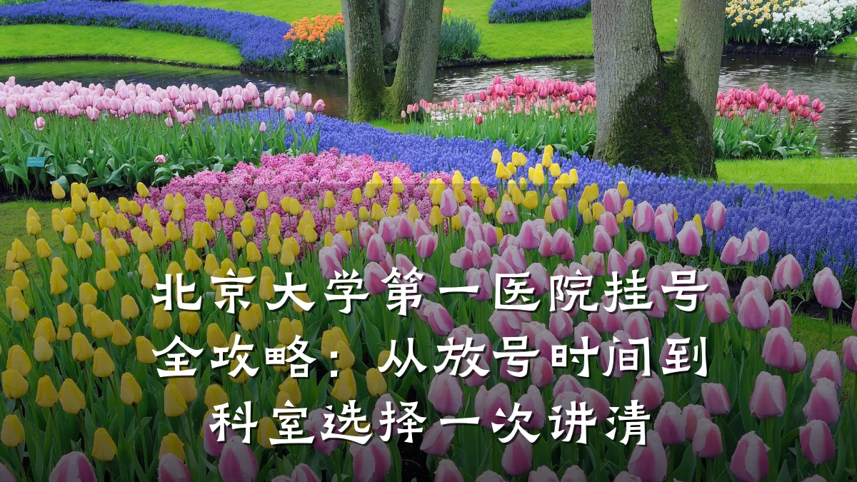 北京大学第一医院挂号全攻略：从放号时间到科室选择一次讲清
