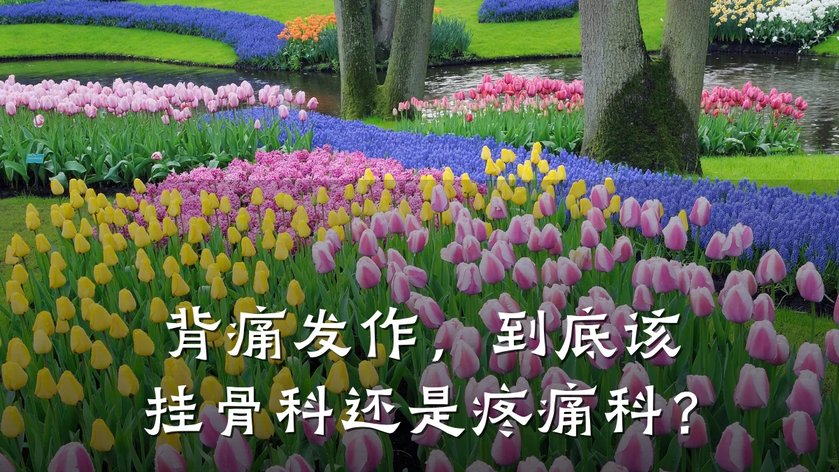 背痛发作，到底该挂骨科还是疼痛科？