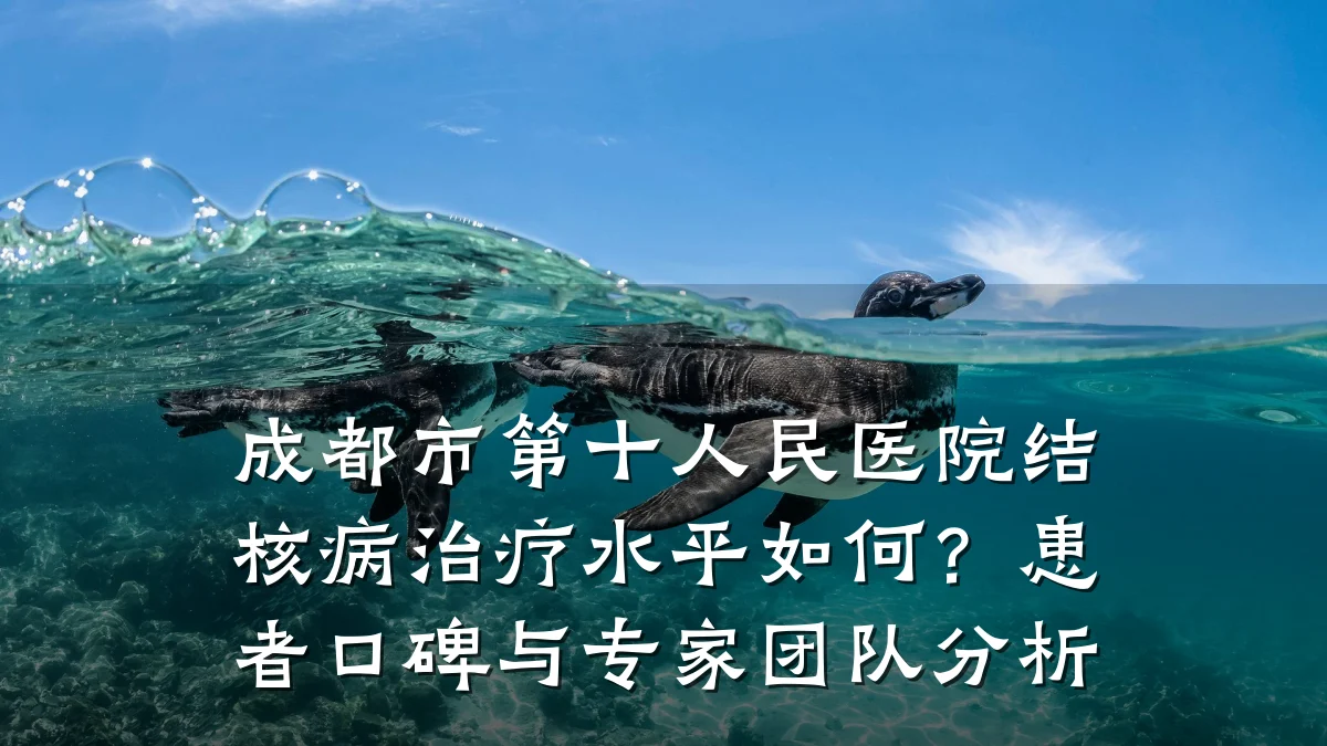 成都市第十人民医院结核病治疗水平如何?患者口碑与专家团队分析