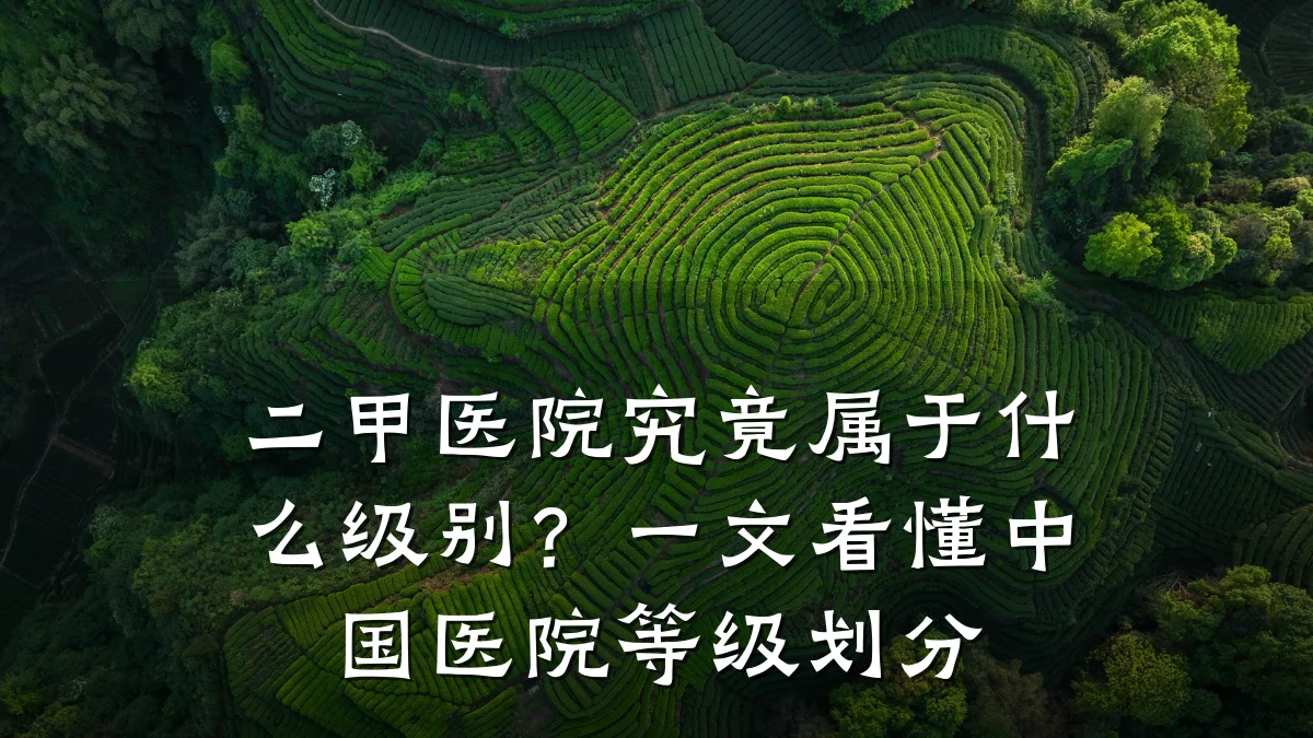 二甲医院究竟属于什么级别?一文看懂中国医院等级划分
