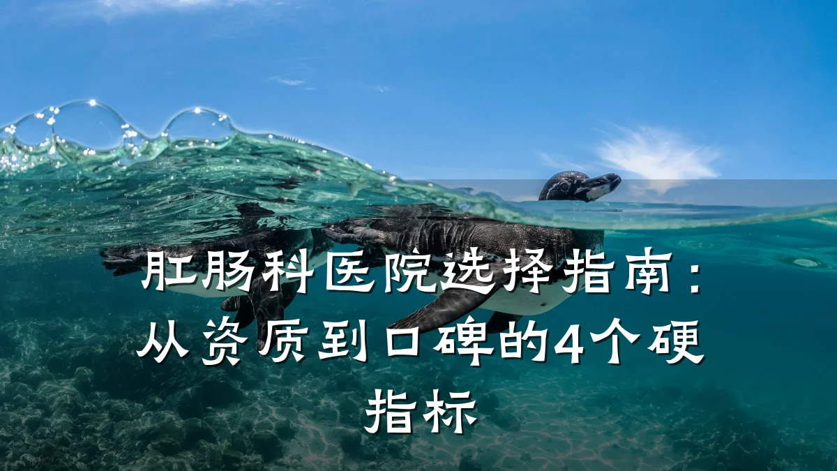 肛肠科医院选择指南：从资质到口碑的4个硬指标