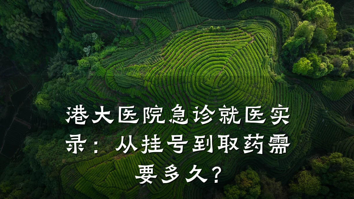港大医院急诊就医实录：从挂号到取药需要多久？