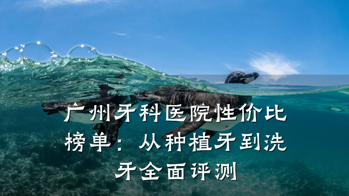 广州牙科医院性价比榜单：从种植牙到洗牙全面评测