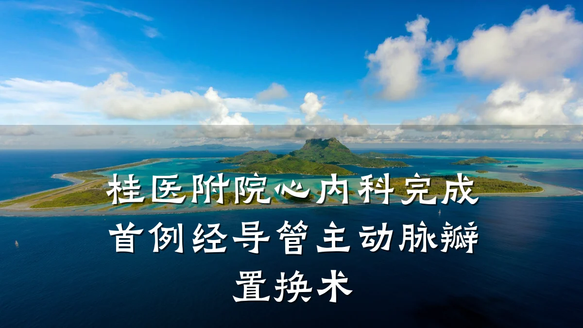 桂医附院心内科完成首例经导管主动脉瓣置换术